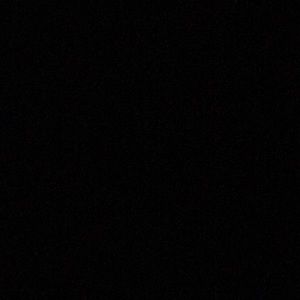 Meet your Posher, Robbie